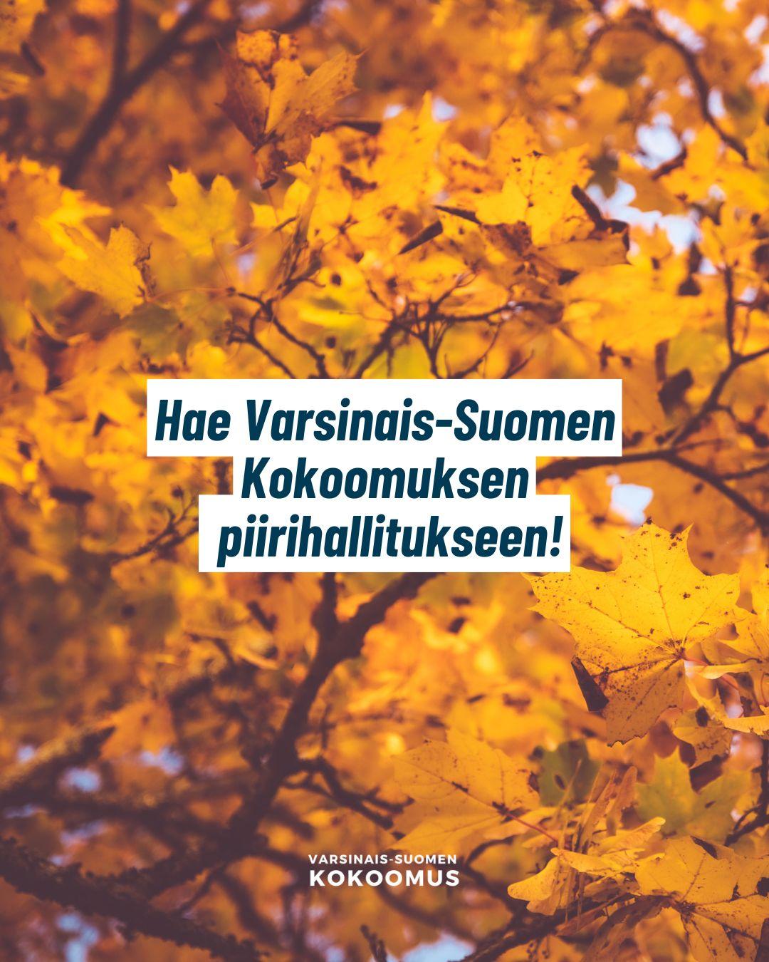 hae-varsinais-suomen-kokoomuksen-piirihallitukseen-varsinais-suomen